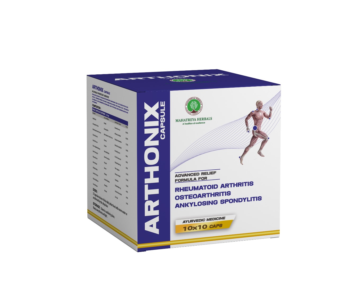 Home 22 ARTHONIX 10x10 STRIP BOX