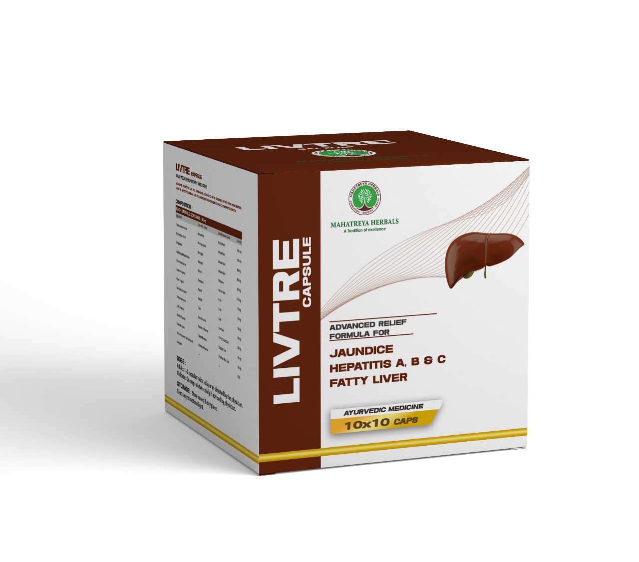 Home 23 LIVTRE 10x1x10 STRIP BOX