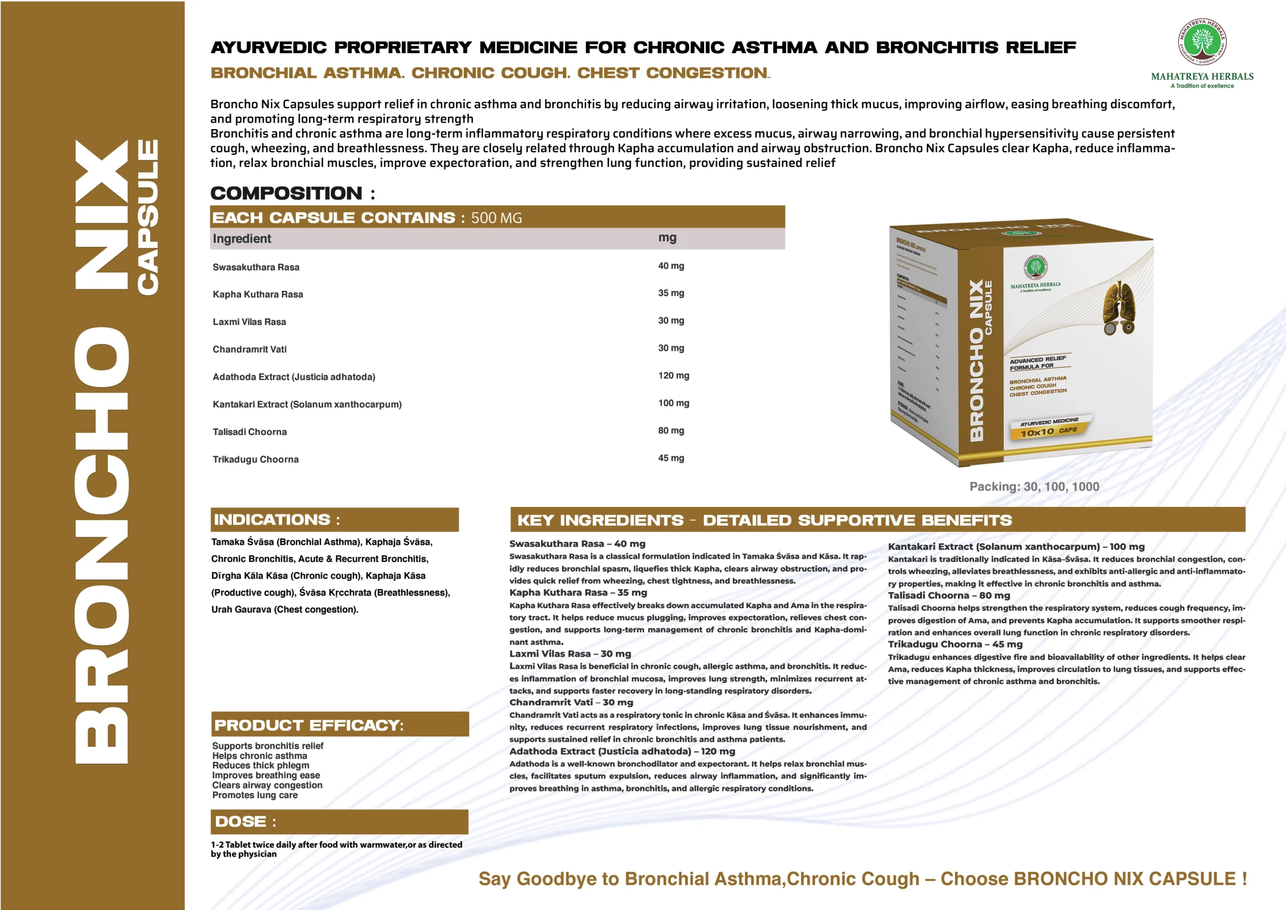 Mahatreya Full Visual Aid File 04 scaled Products