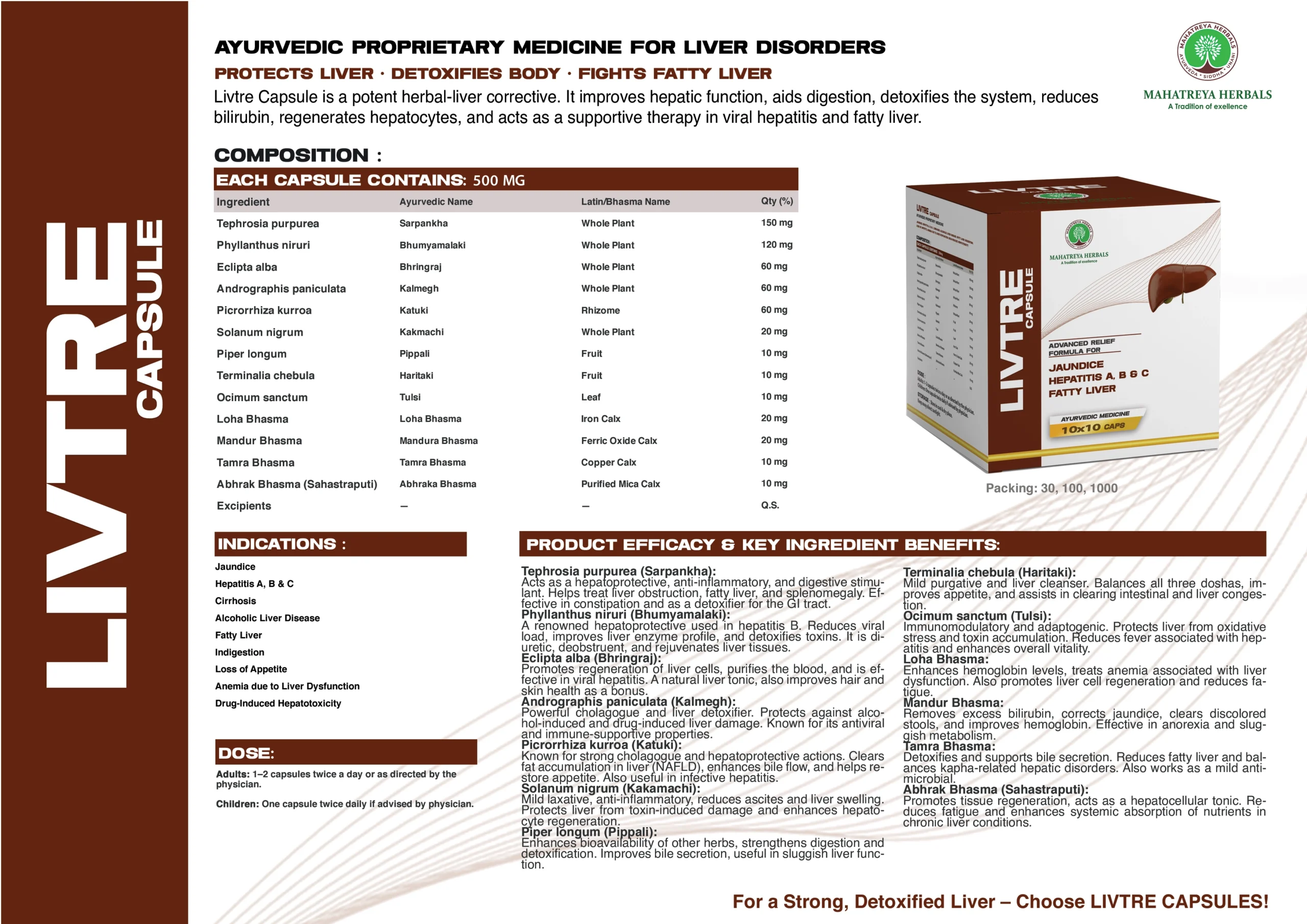 Mahatreya Full Visual Aid File 07 scaled Home