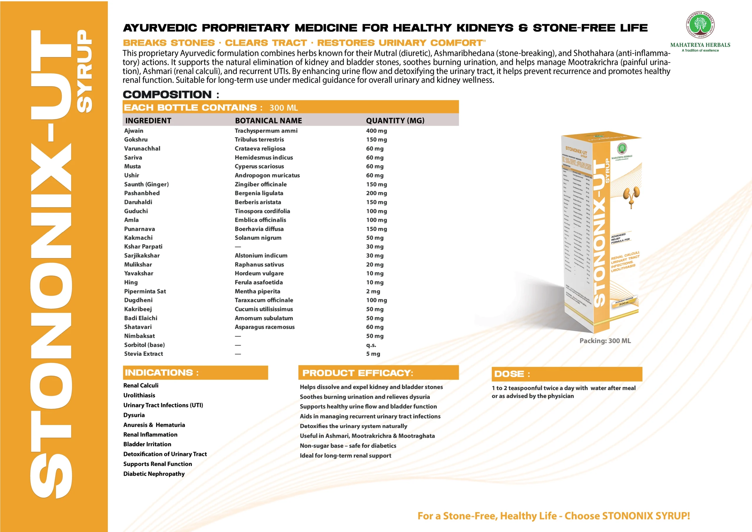 Mahatreya Full Visual Aid File 10 scaled Products