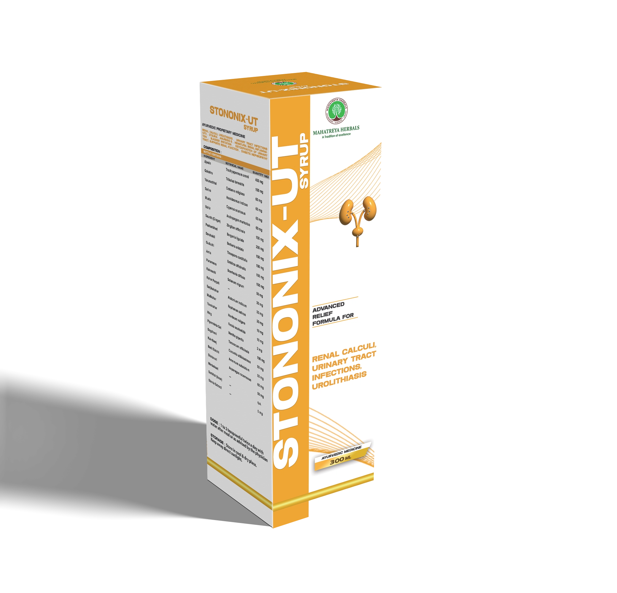 Stononix Syrup Box Mockup Products