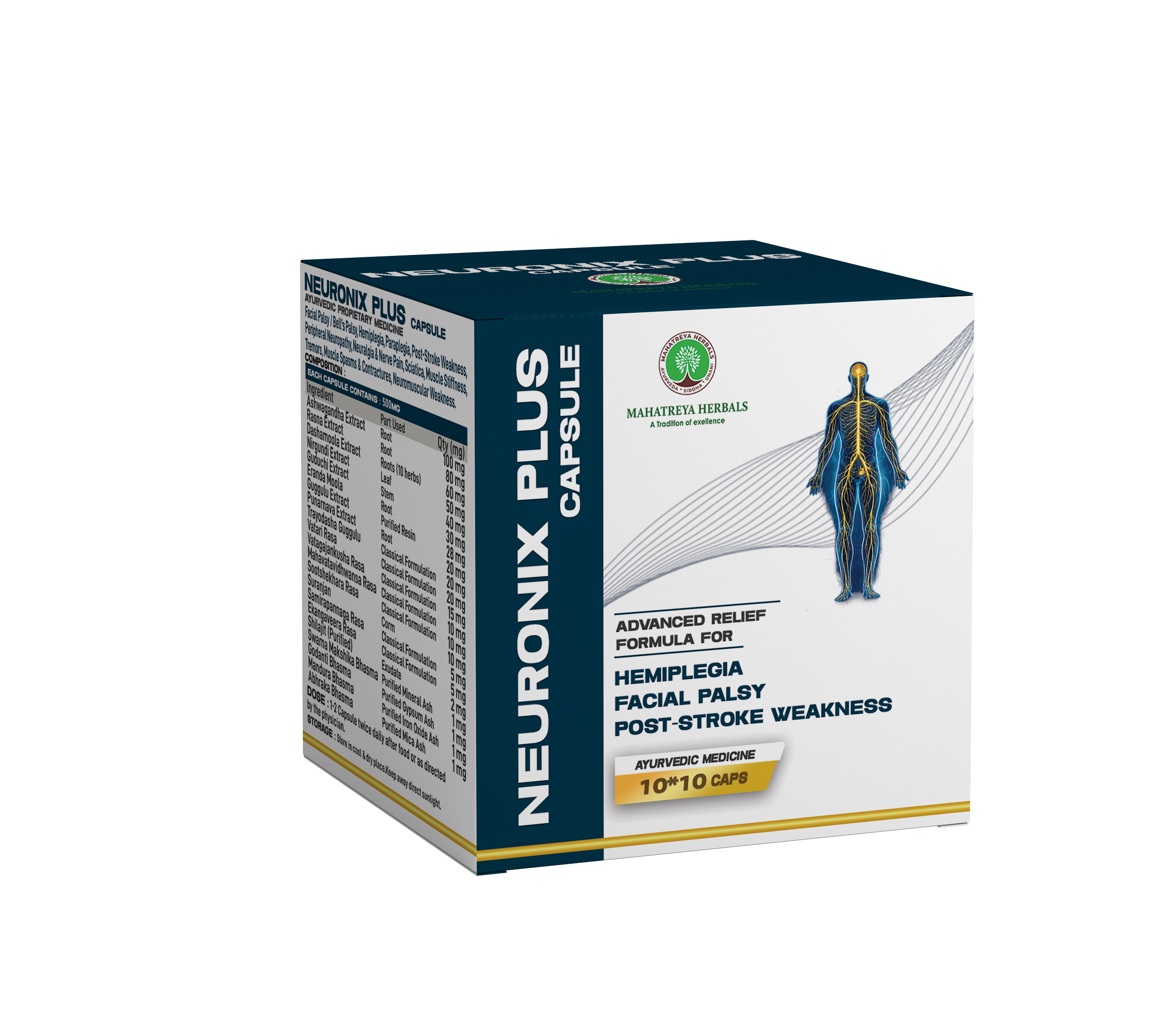 Products 8 Neuronix plus Products